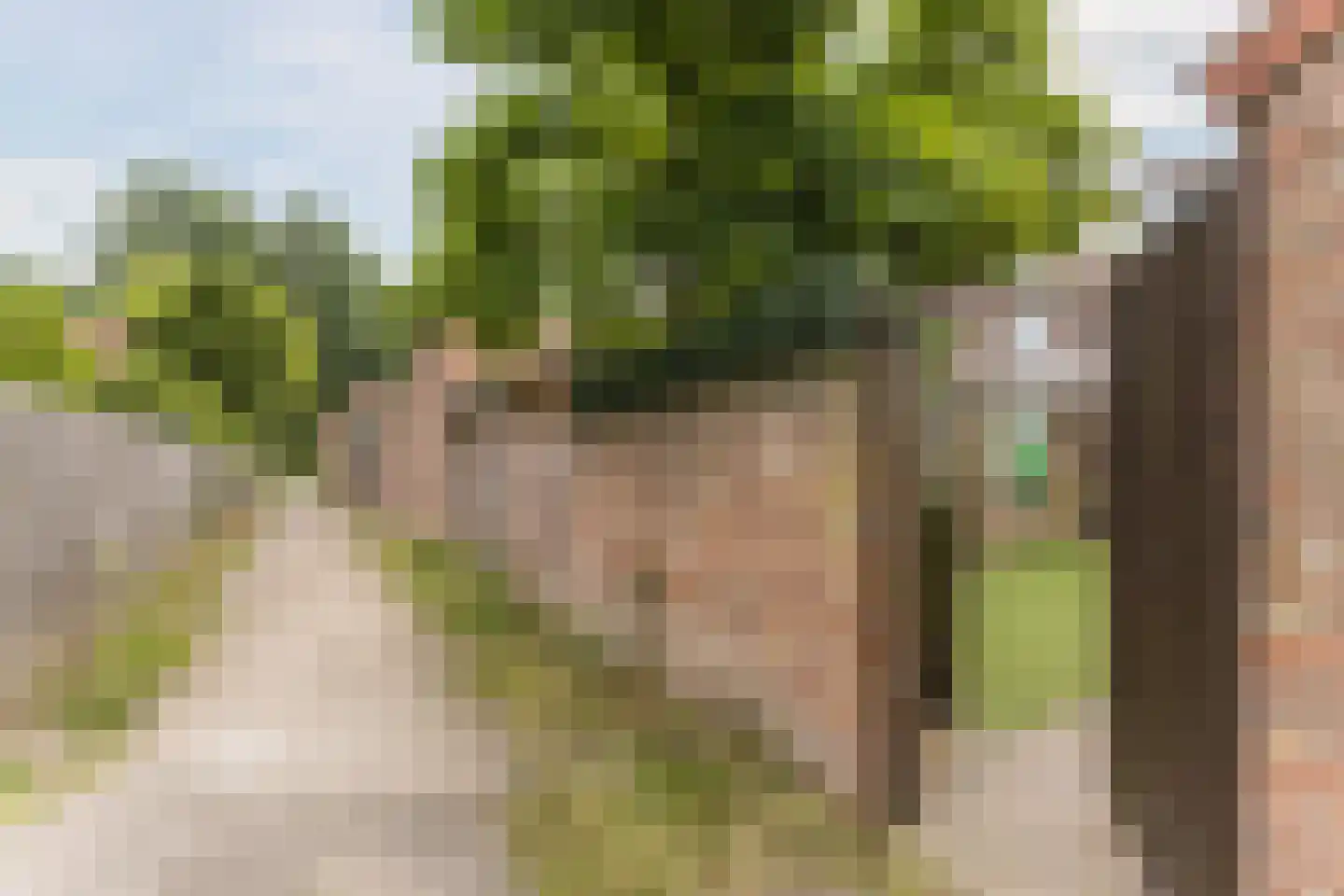 Rietstraat 48 Geldrop thumbnail 37