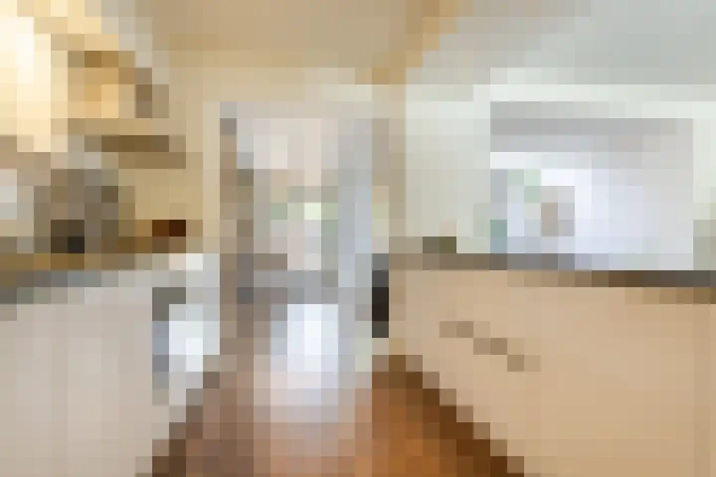 Rietstraat 48 Geldrop thumbnail 4