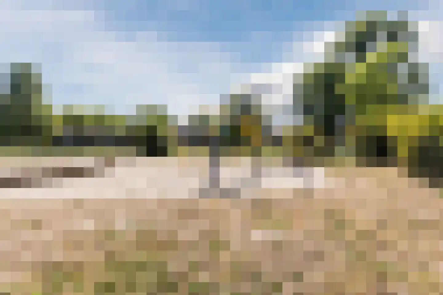 Rietstraat 48 Geldrop thumbnail 41