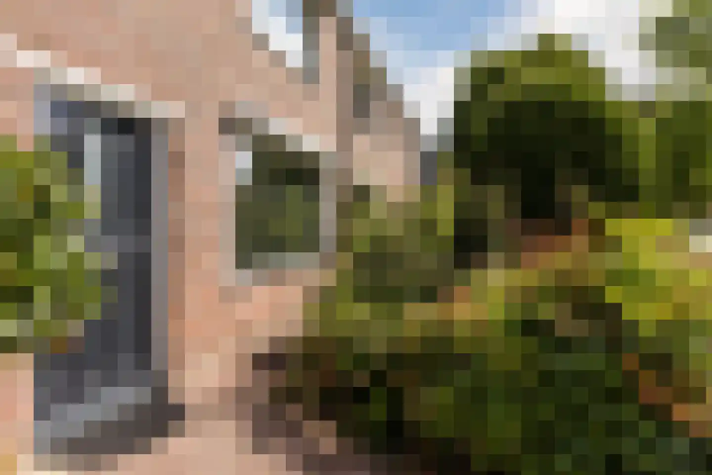 Rietstraat 48 Geldrop thumbnail 7