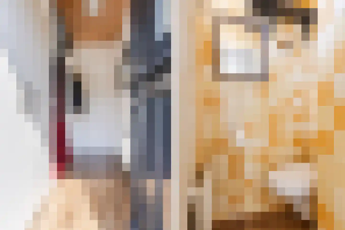 Rietstraat 48 Geldrop thumbnail 8