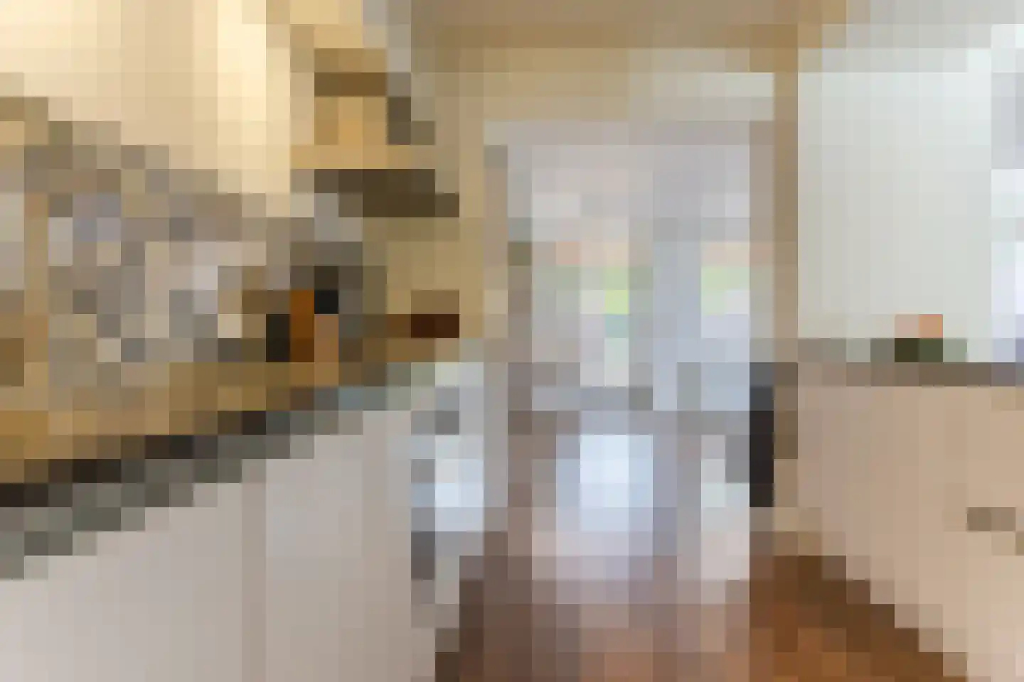 Rietstraat 48 Geldrop thumbnail 9