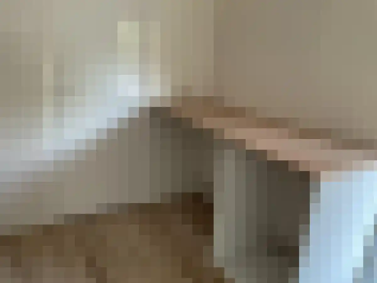 Rietstraat 5 Emmeloord thumbnail 4