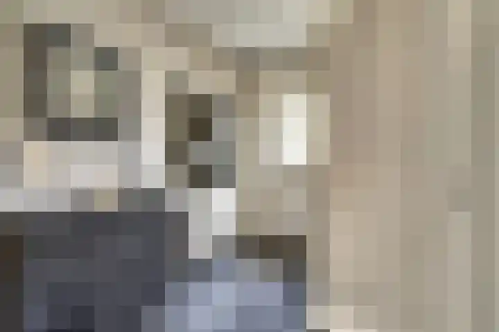 Rietstraat 5 Lage Zwaluwe thumbnail 14
