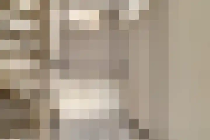 Rietstraat 5 Lage Zwaluwe thumbnail 15