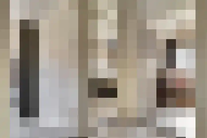 Rietstraat 5 Lage Zwaluwe thumbnail 16