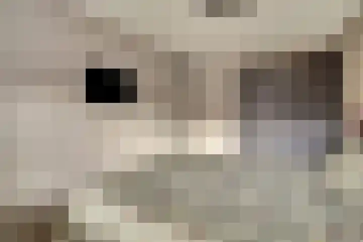 Rietstraat 5 Lage Zwaluwe thumbnail 17