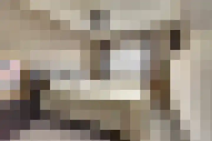Rietstraat 5 Lage Zwaluwe thumbnail 18