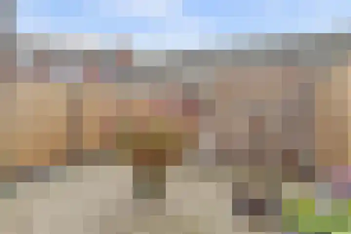 Rietstraat 5 Lage Zwaluwe thumbnail 30