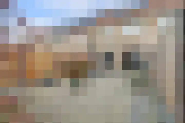 Rietstraat 5 Lage Zwaluwe thumbnail 32