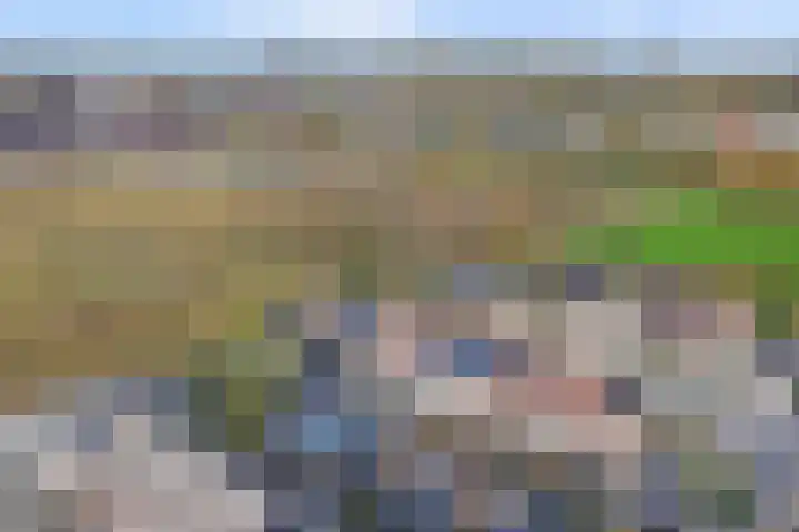 Rietstraat 5 Lage Zwaluwe thumbnail 35