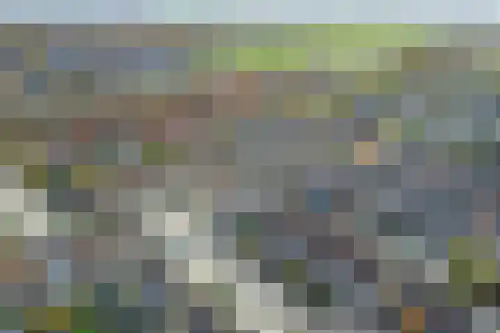 Rietstraat 5 Lage Zwaluwe thumbnail 38
