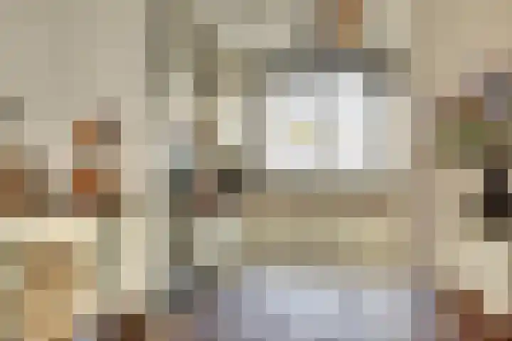 Rietstraat 5 Lage Zwaluwe thumbnail 9