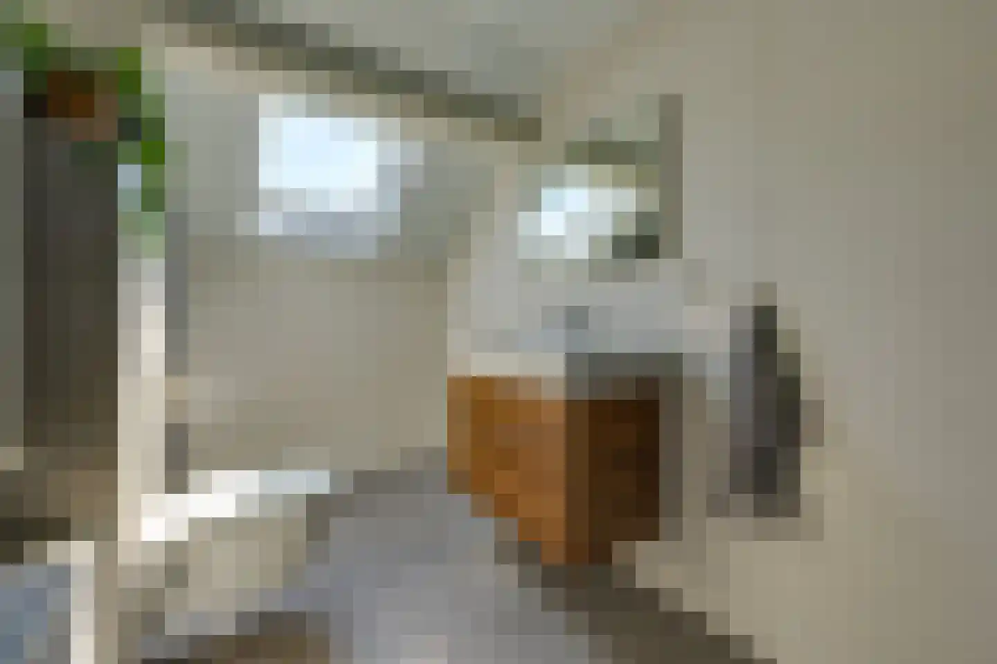 Rietstraat 5 Mussel thumbnail 25