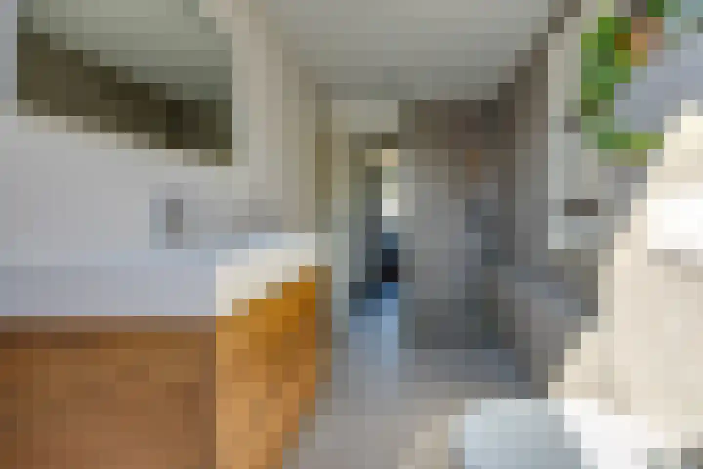 Rietstraat 5 Mussel thumbnail 26