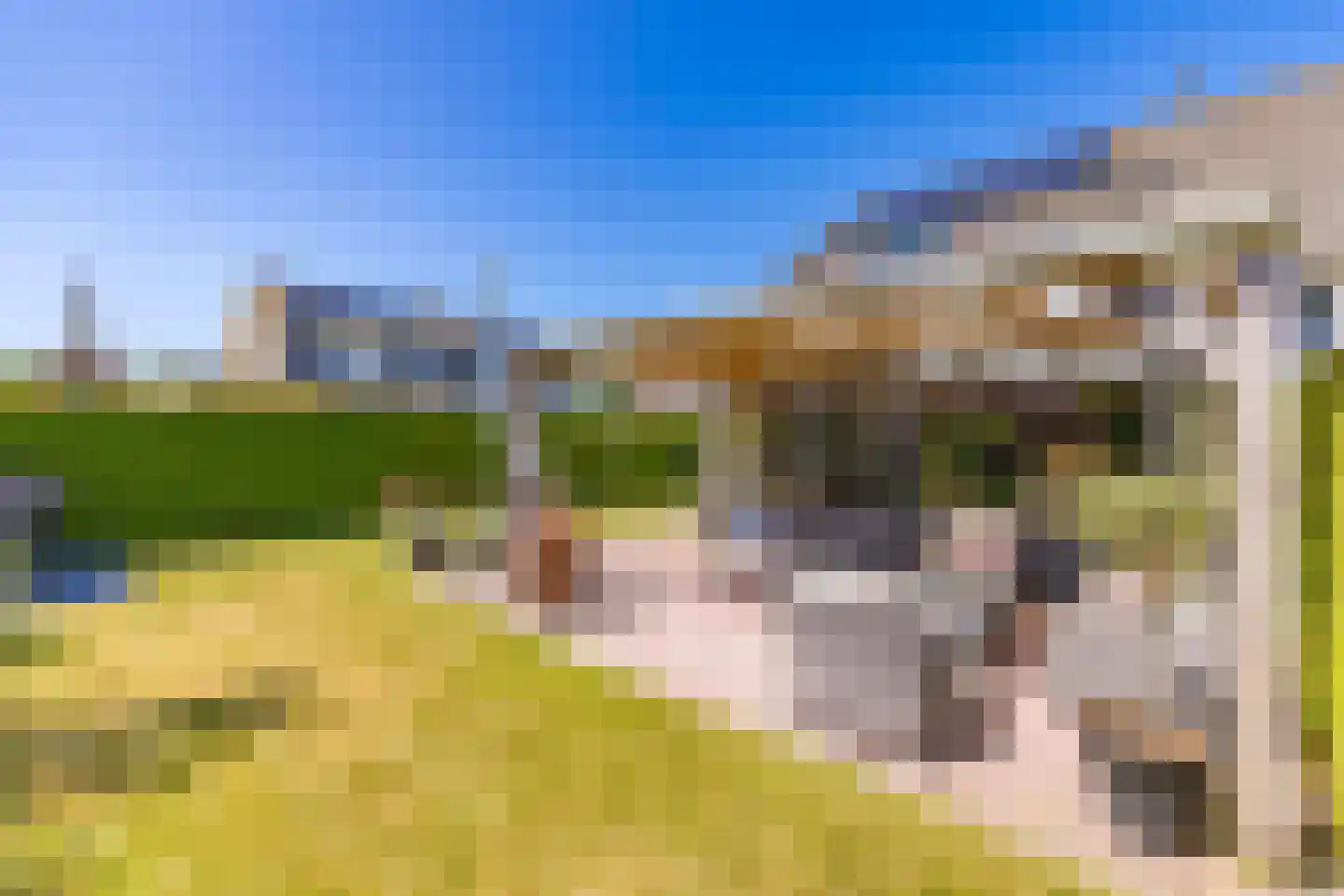 Rietstraat 5 Mussel thumbnail 28