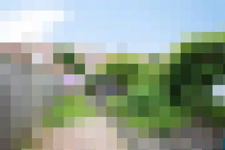 Rietstraat 64 Emmeloord thumbnail 24