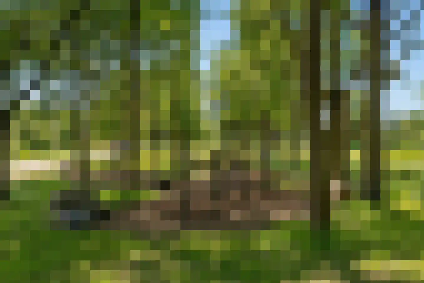 Rietsuikerweg 15 Utrecht thumbnail 51