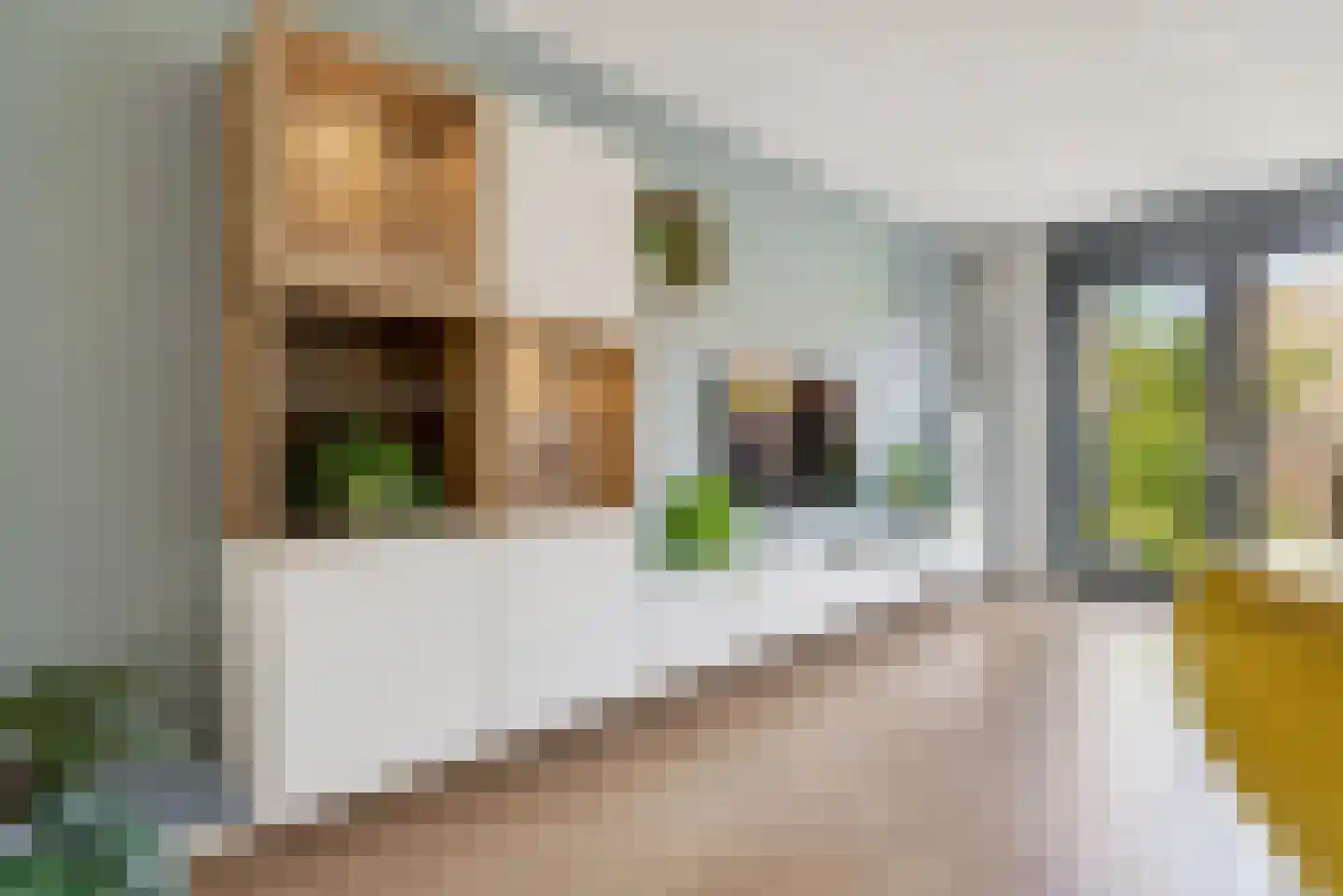 Rietsuikerweg 15 Utrecht thumbnail 7