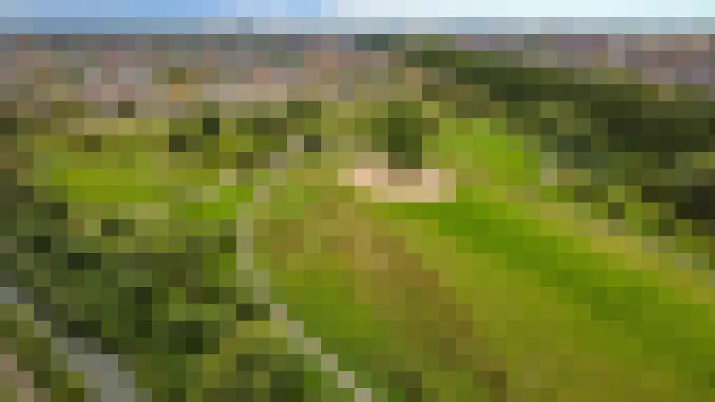 Rietsuikerweg 27 Utrecht thumbnail 42