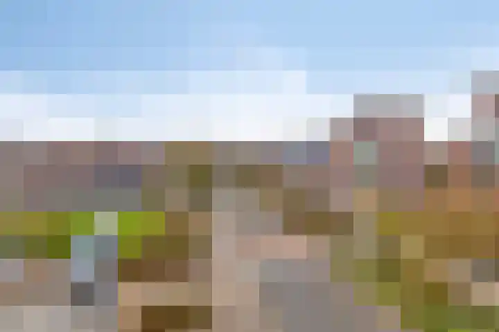 Rietveen 104 Wognum thumbnail 19
