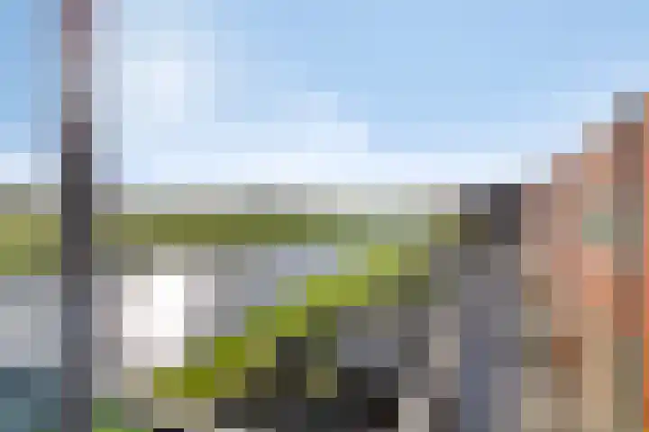 Rietveen 104 Wognum thumbnail 21