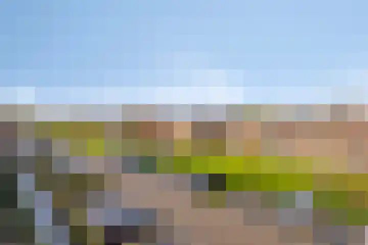 Rietveen 104 Wognum thumbnail 25
