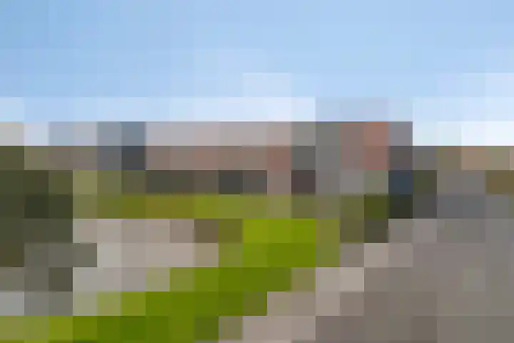 Rietveen 104 Wognum thumbnail 28