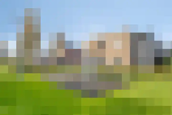 Rietveen 104 Wognum thumbnail 29