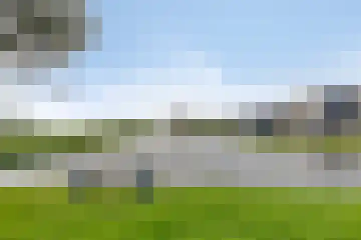 Rietveen 104 Wognum thumbnail 30