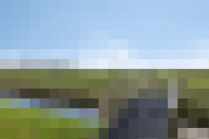 Rietveen 104 Wognum thumbnail 31