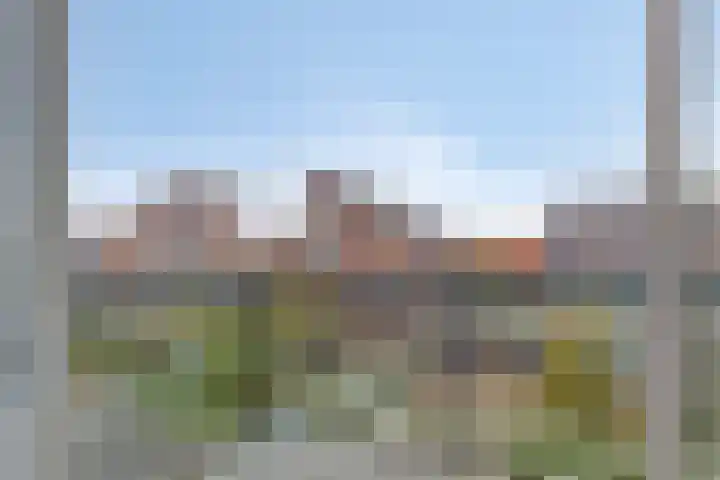 Rietveen 104 Wognum thumbnail 4