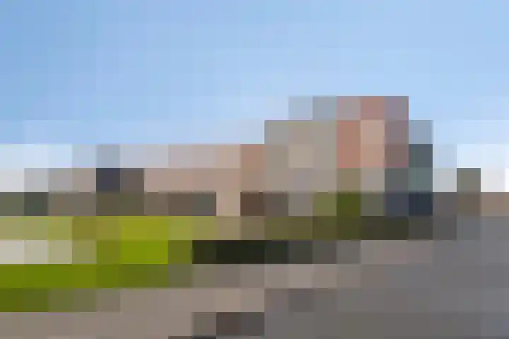 Rietveen 104 Wognum thumbnail 5