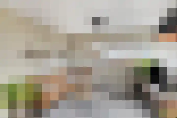 Rietveen 104 Wognum thumbnail 9