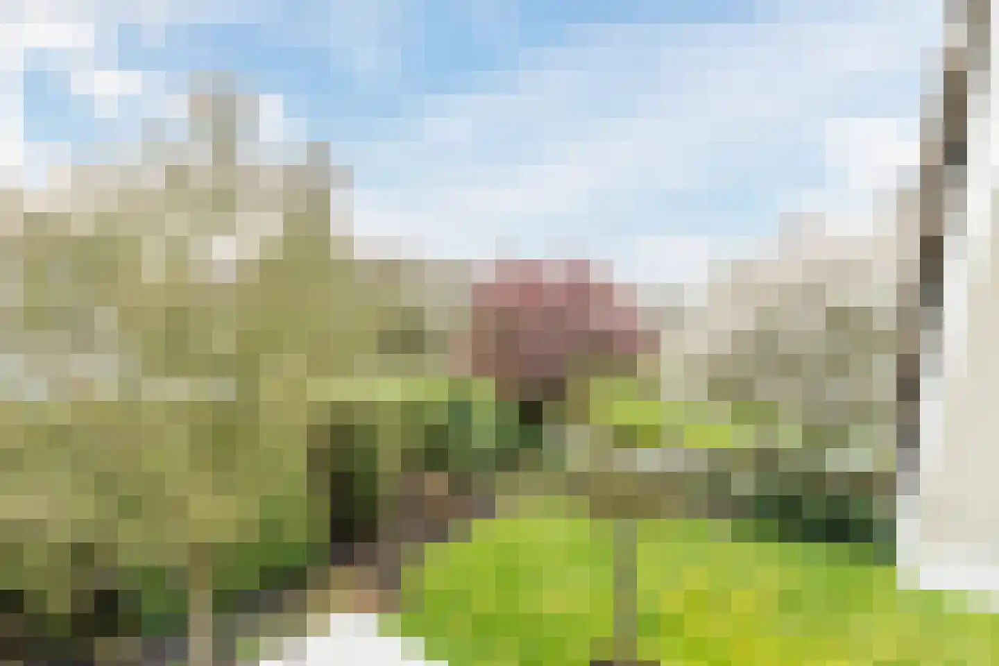 Rietveen 12 Breda thumbnail 22