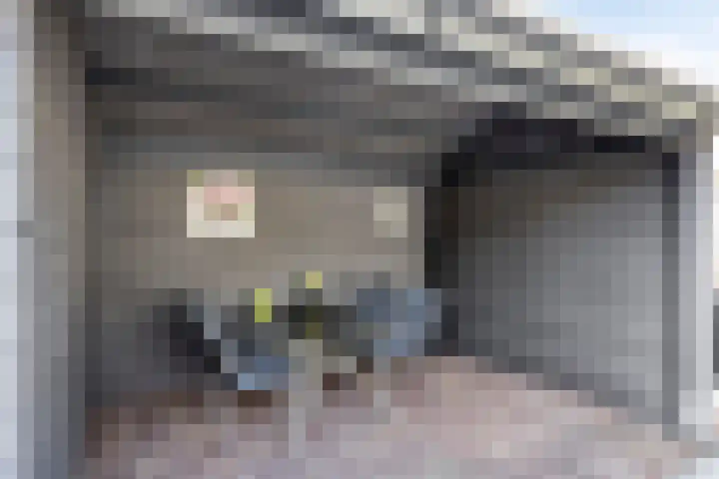 Rietveen 20 Steenbergen thumbnail 33