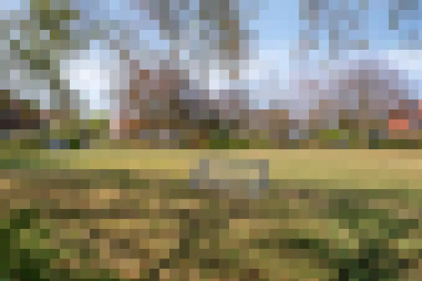 Rietveen 20 Steenbergen thumbnail 35