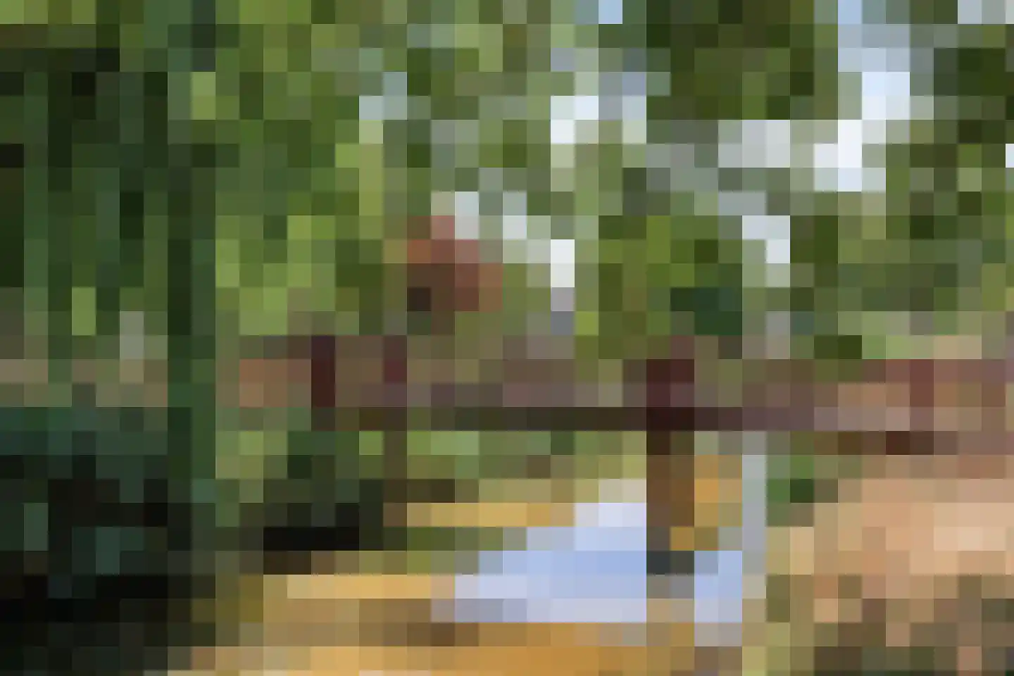 Rietveen 20 Steenbergen thumbnail 37
