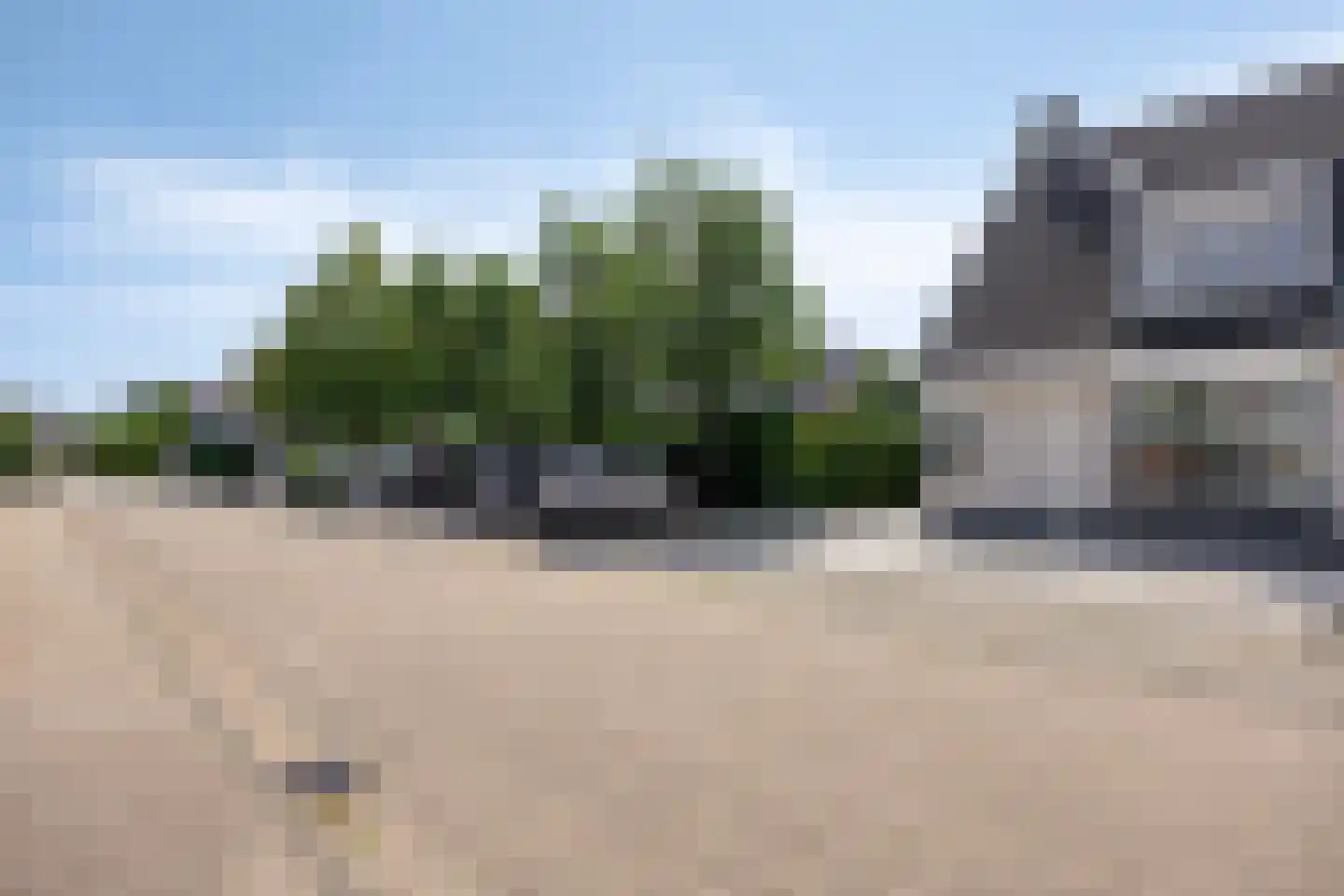 Rietveen 20 Steenbergen thumbnail 5