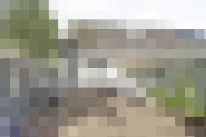 Rietveen 23 Steenbergen thumbnail 4
