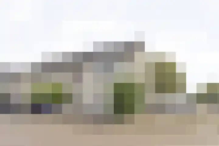 Rietveen 23 Steenbergen thumbnail 6