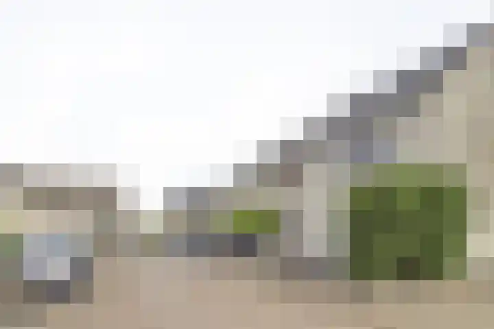 Rietveen 23 Steenbergen thumbnail 7