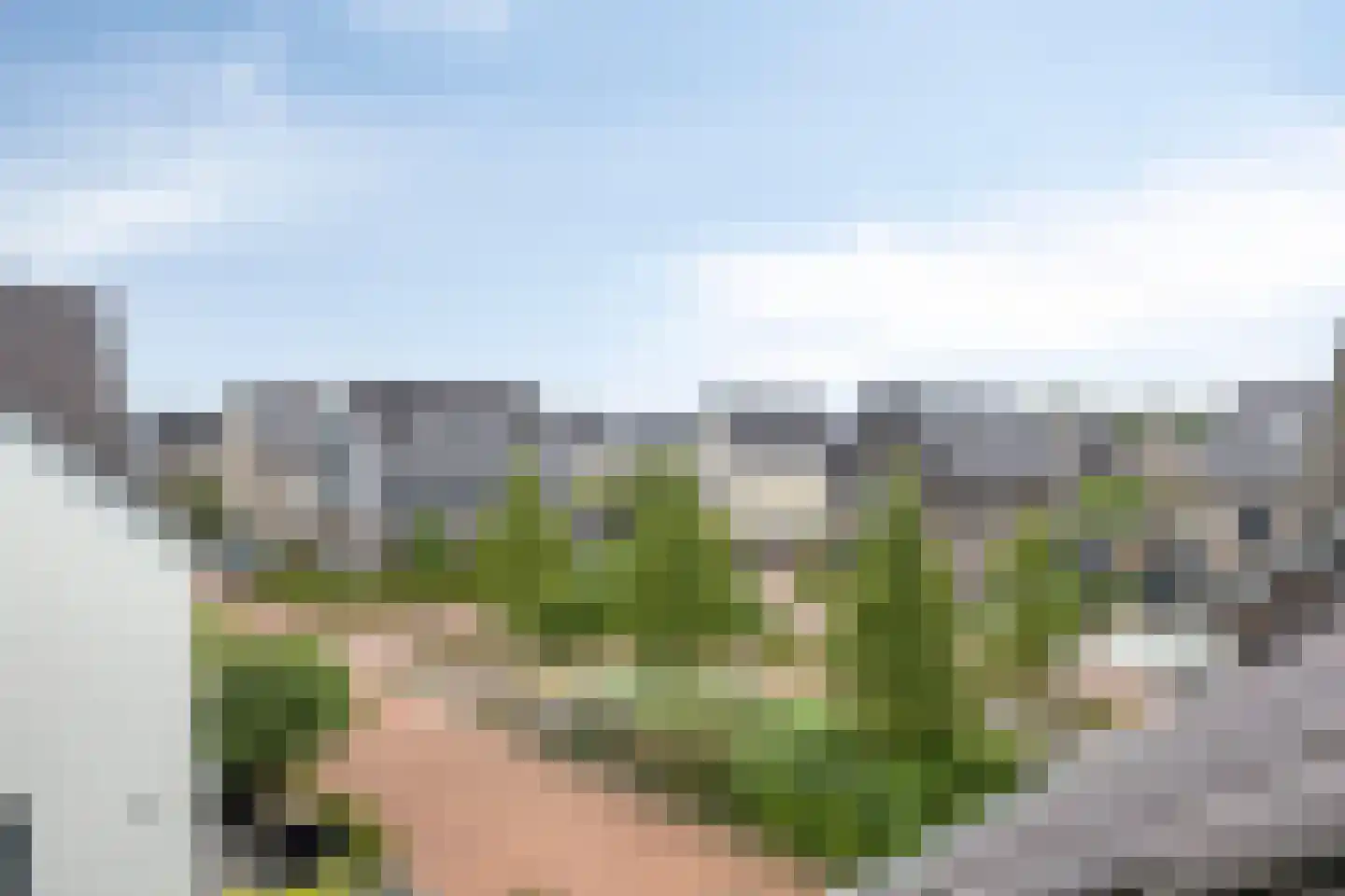 Rietveen 43 Veenendaal thumbnail 32