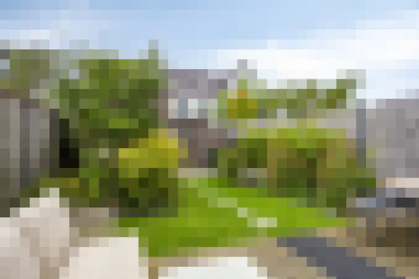 Rietveen 43 Veenendaal thumbnail 34