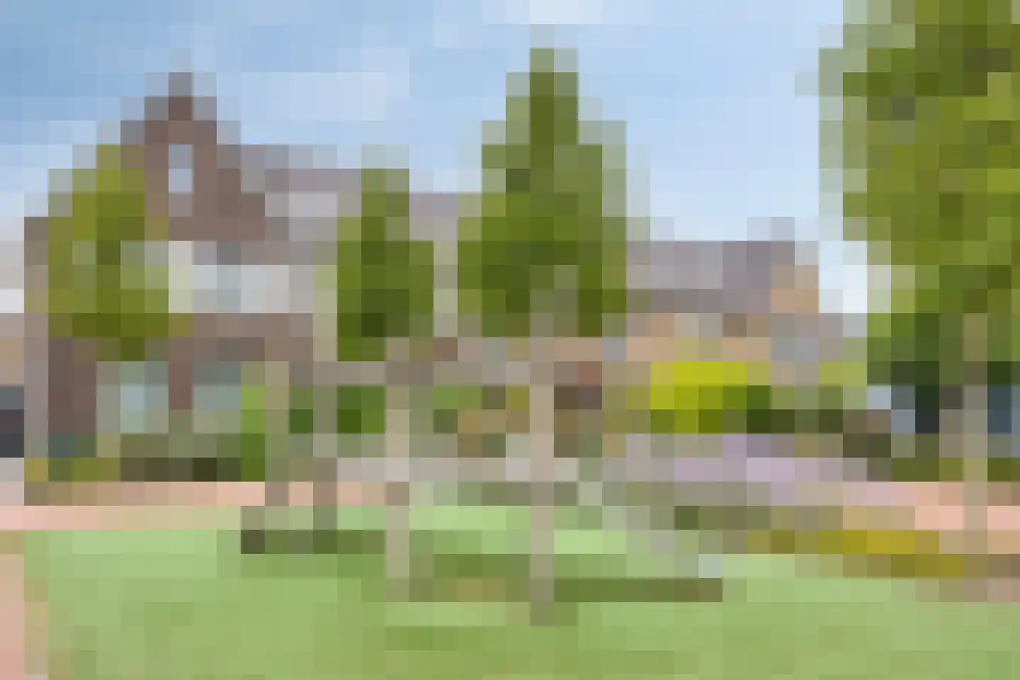Rietveen 43 Veenendaal thumbnail 37
