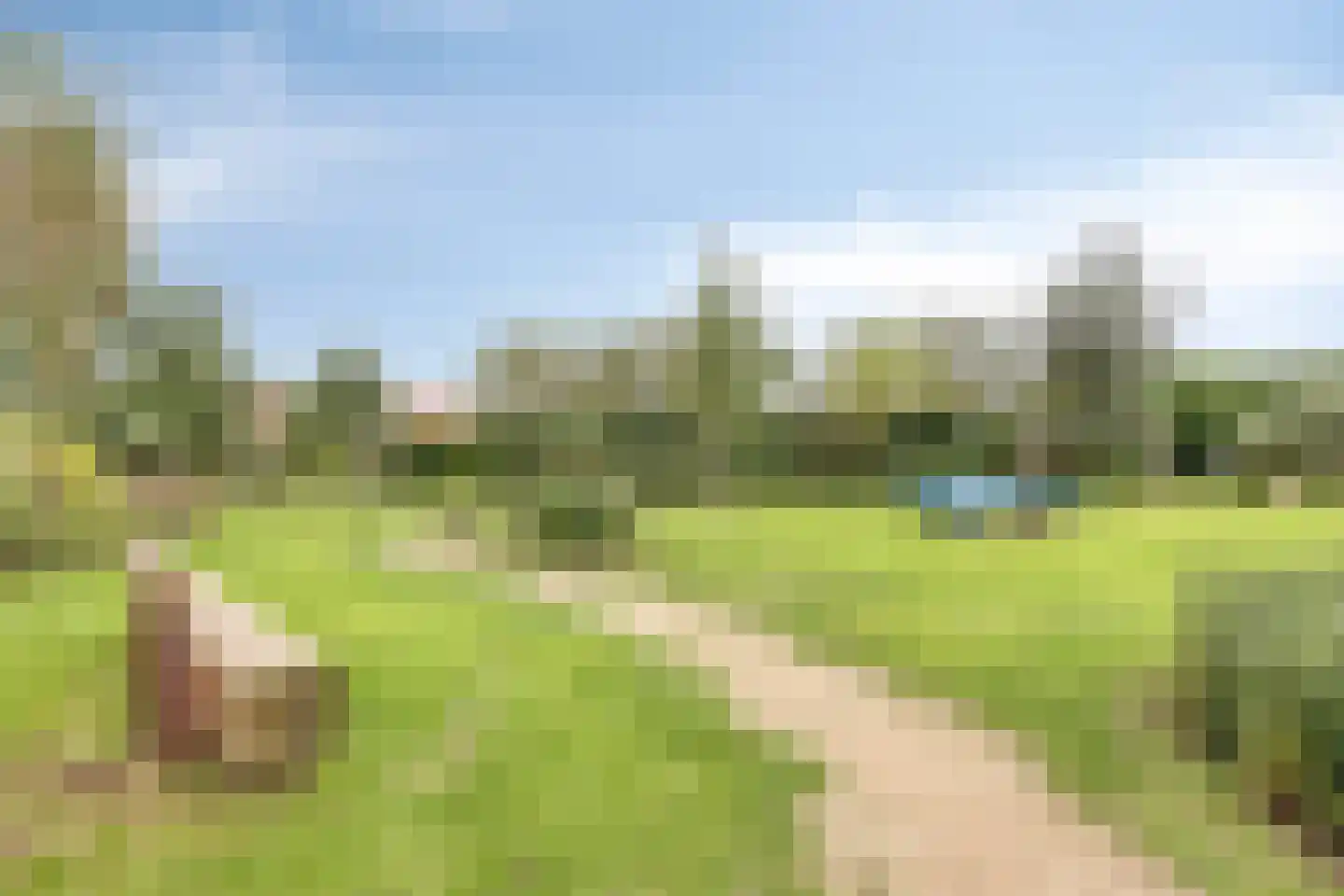 Rietveen 43 Veenendaal thumbnail 38