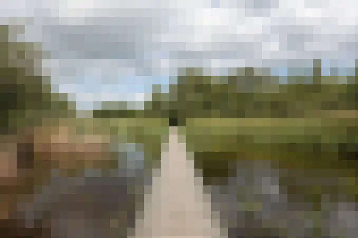 Rietveen 43 Veenendaal thumbnail 43