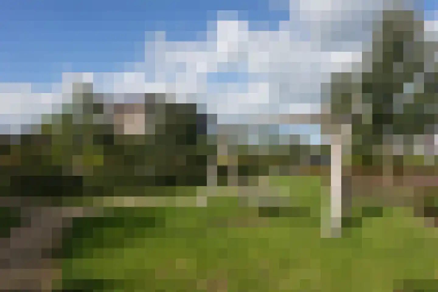Rietveen 43 Veenendaal thumbnail 44