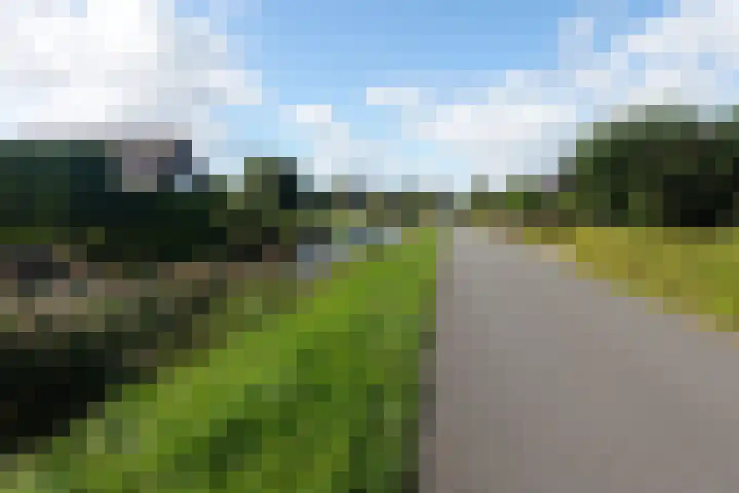 Rietveen 43 Veenendaal thumbnail 46