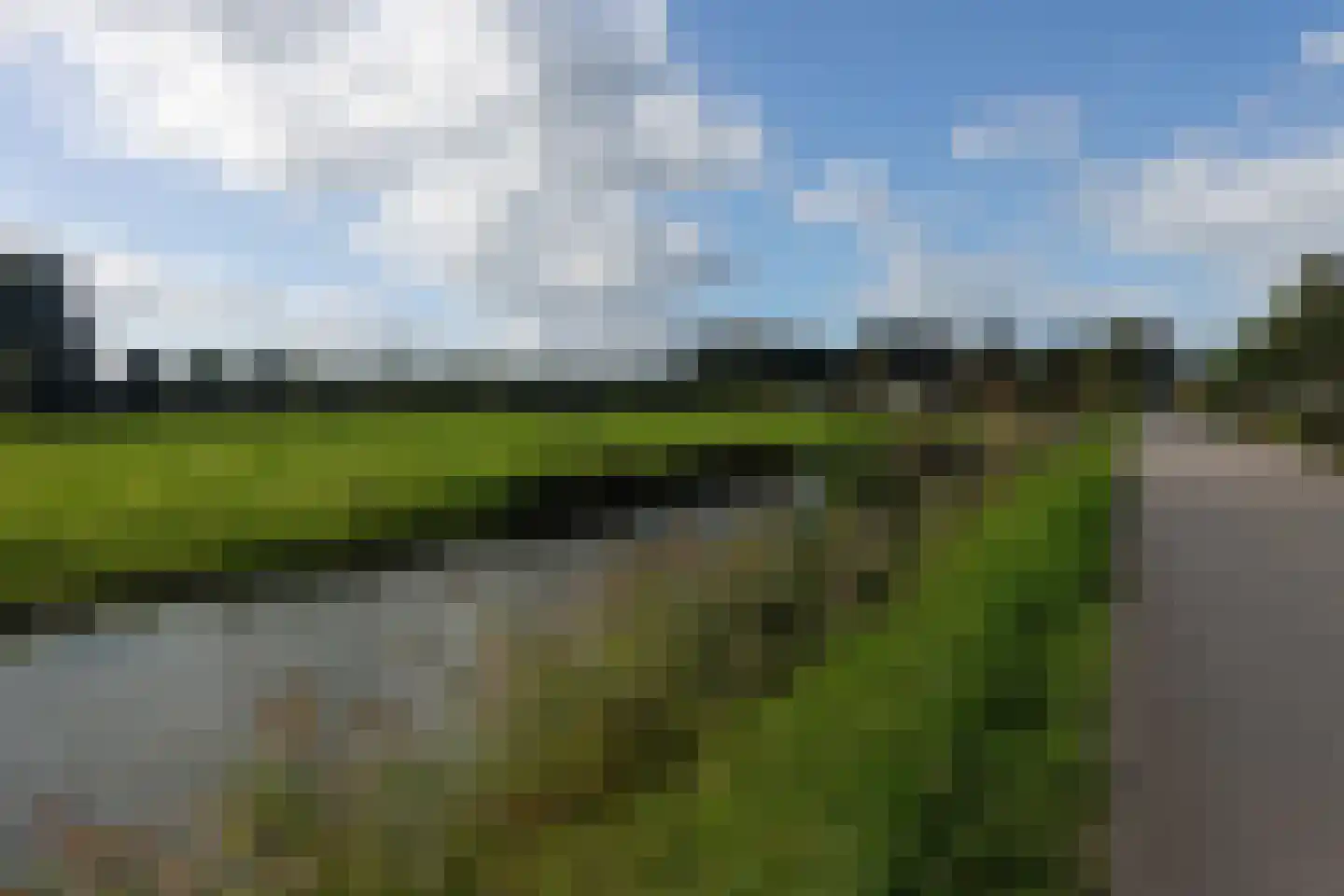 Rietveen 43 Veenendaal thumbnail 47